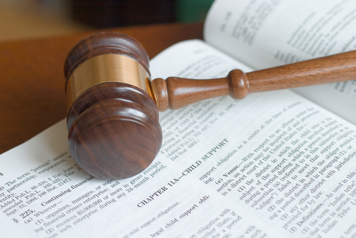 What Does Child Support Cover?